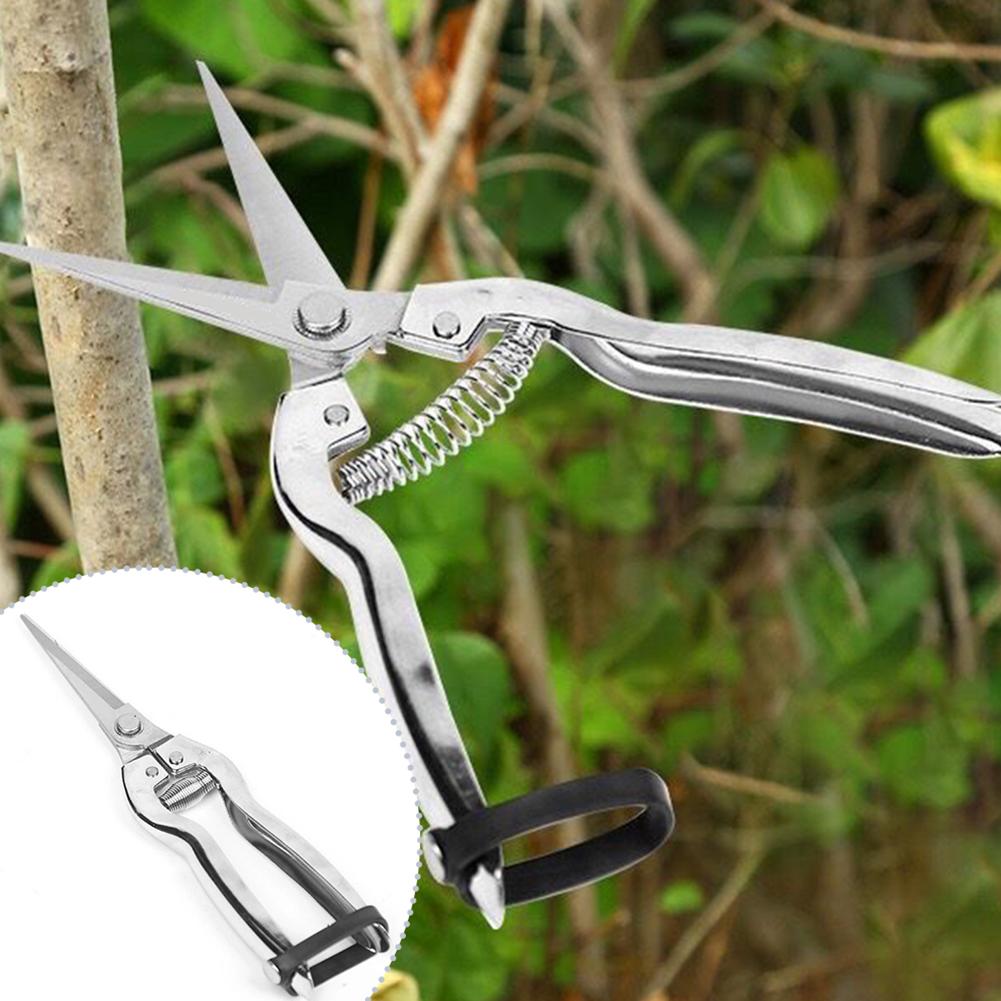 Gardening Hand Tools Yard - Budama Makası Bahçe Makası Gül Bahçesi