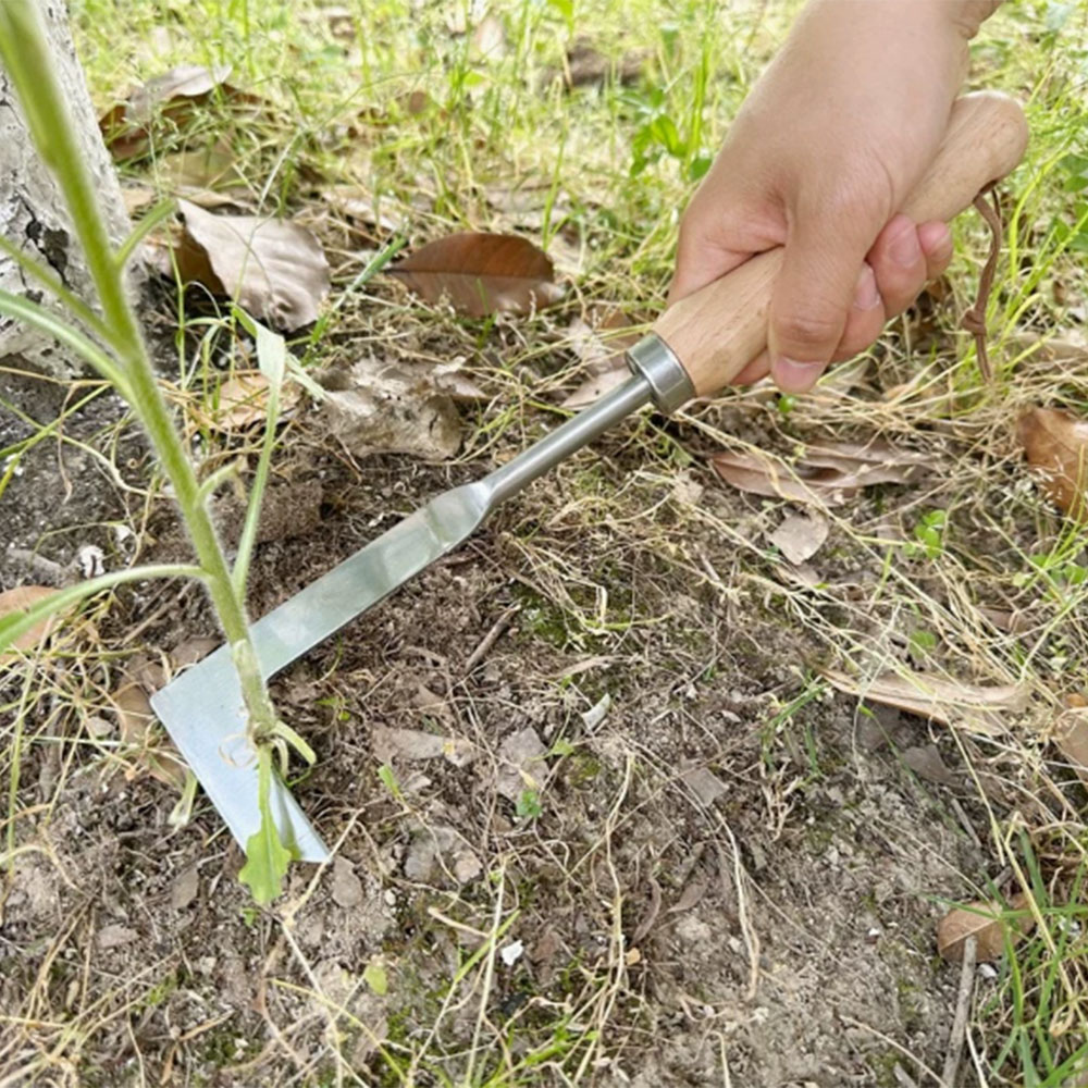 Paslanmaz Çelik Boşluk Temizle - Gardening Hand Tools Yard incelemesi ve fiyatı