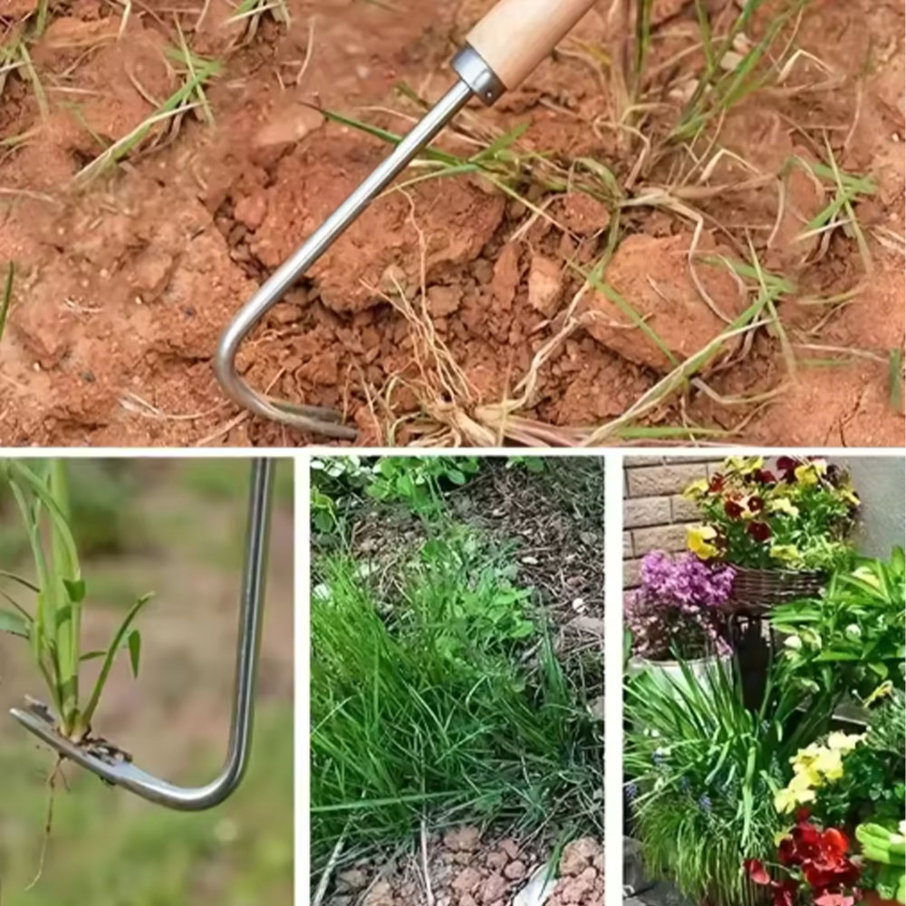 Paslanmaz Çelik Boşluk Temizle - Gardening Hand Tools Yard incelemesi ve fiyatı