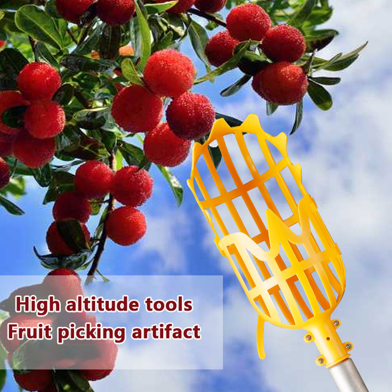 Toplama Loquat toplama Bayberr - Gardening Tools Rack incelemesi ve fiyatı