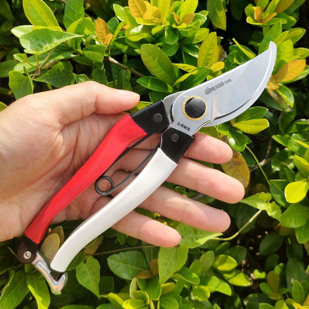 Tayvan Sakawada 168l bahçe ale - Gardening Tools Japan incelemesi ve fiyatı