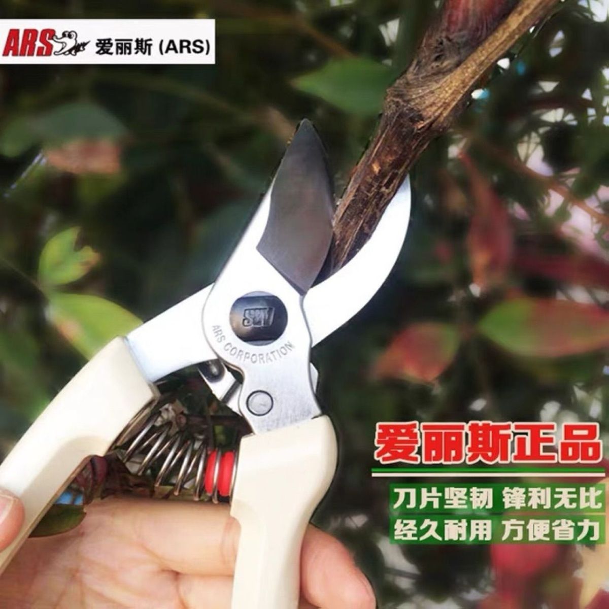 Budama makası, bahçe aletleri, - Gardening Tools Japan incelemesi ve fiyatı