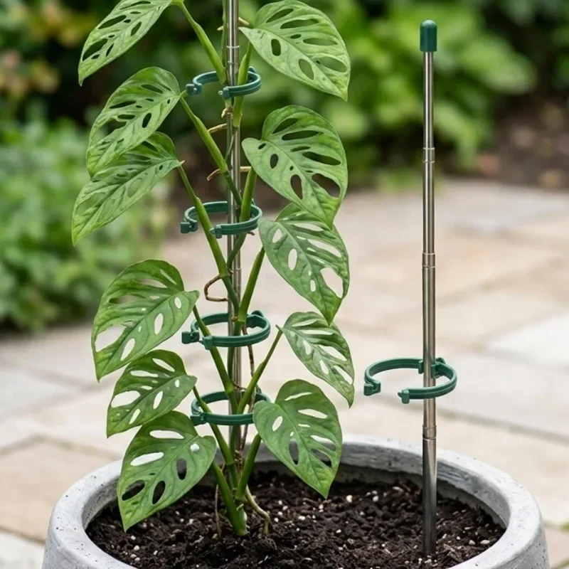5/1 adet geri çekilebilir bitk - Gardening Tools Green incelemesi ve fiyatı