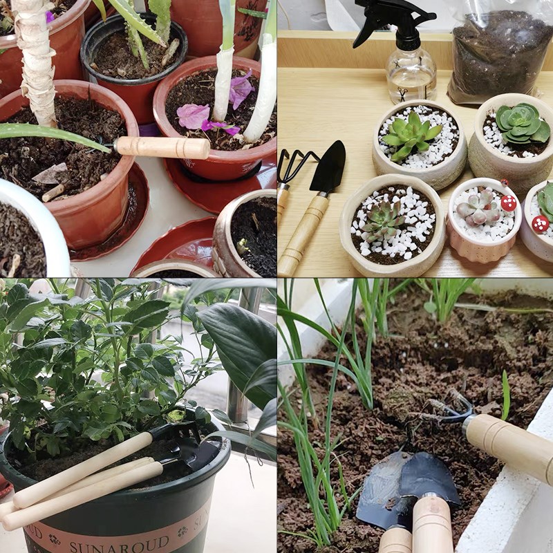 3 adet/1 takım Mini bahçe alet - Gardening Tools Bundle incelemesi ve fiyatı