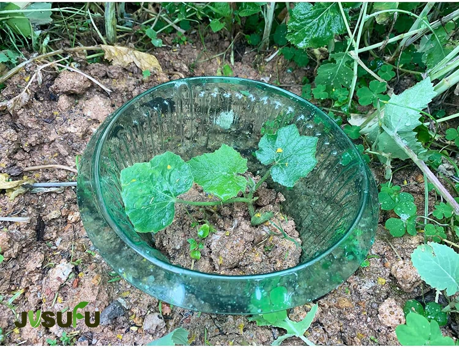 1/30 adet Bitkiler Sümüklüböce - Gardening Tools Green incelemesi ve fiyatı