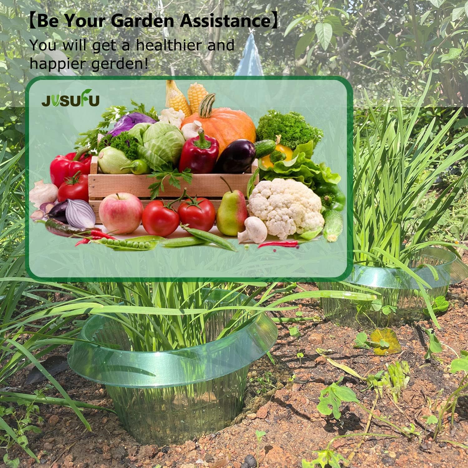 1/30 adet Bitkiler Sümüklüböce - Gardening Tools Green incelemesi ve fiyatı