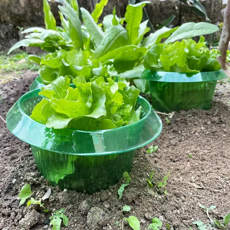 Bitkiler Sümüklüböcek Koruma H - Gardening Tools Green incelemesi ve fiyatı
