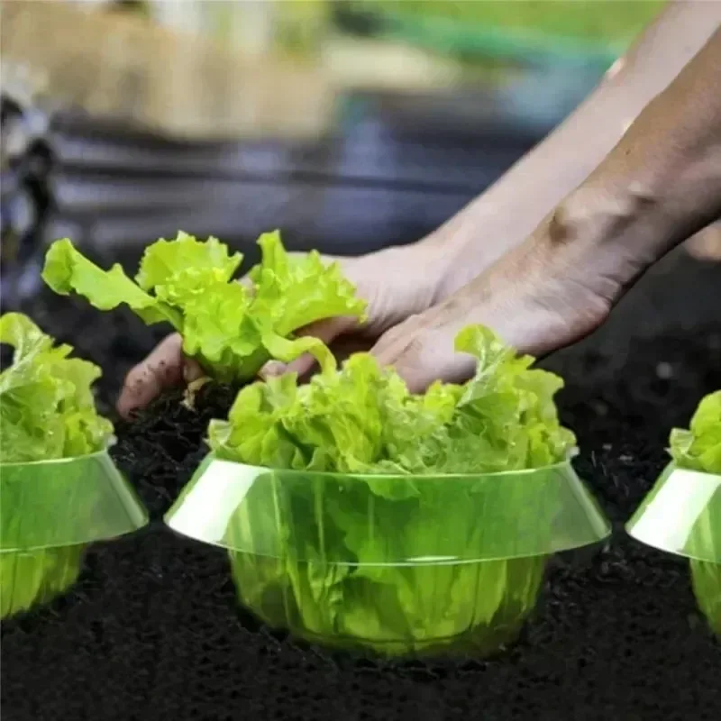 Bitkiler Sümüklüböcek Koruma H - Gardening Tools Green incelemesi ve fiyatı