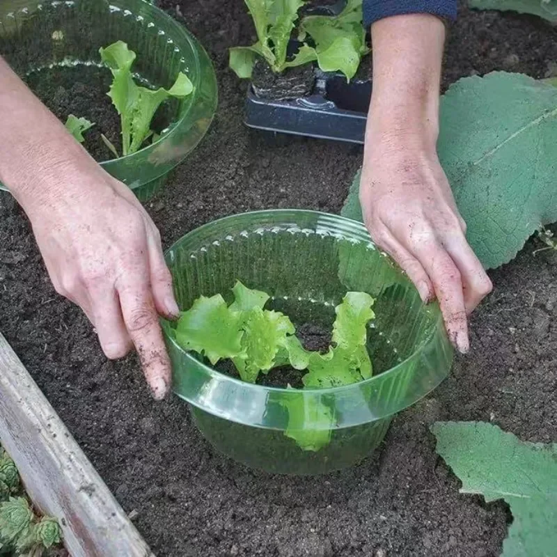 Bitkiler Sümüklüböcek Koruma H - Gardening Tools Green incelemesi ve fiyatı