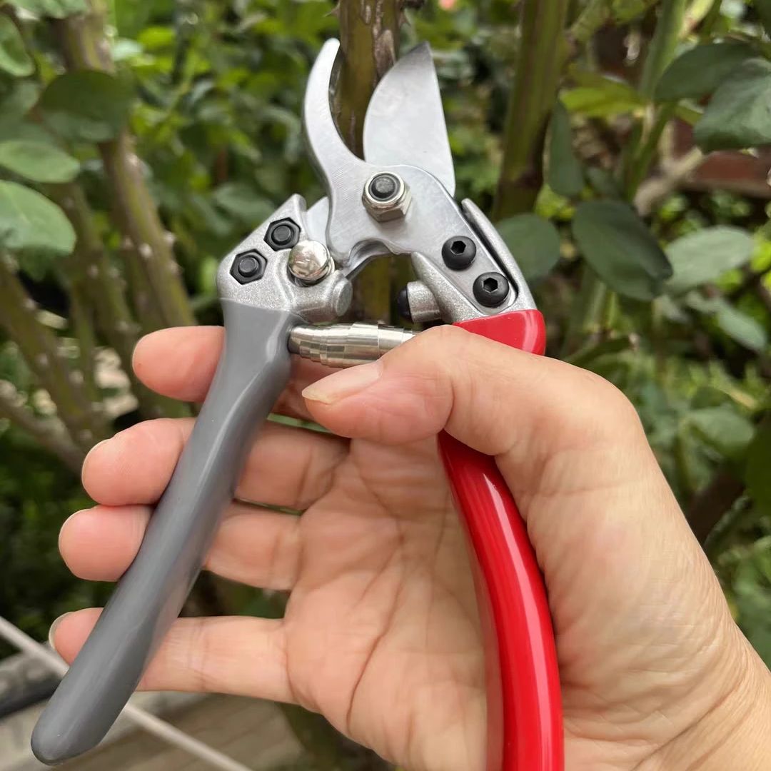 Japonya Vvt Yeni Sk5 Güçlü Bah - Gardening Tools Japan incelemesi ve fiyatı